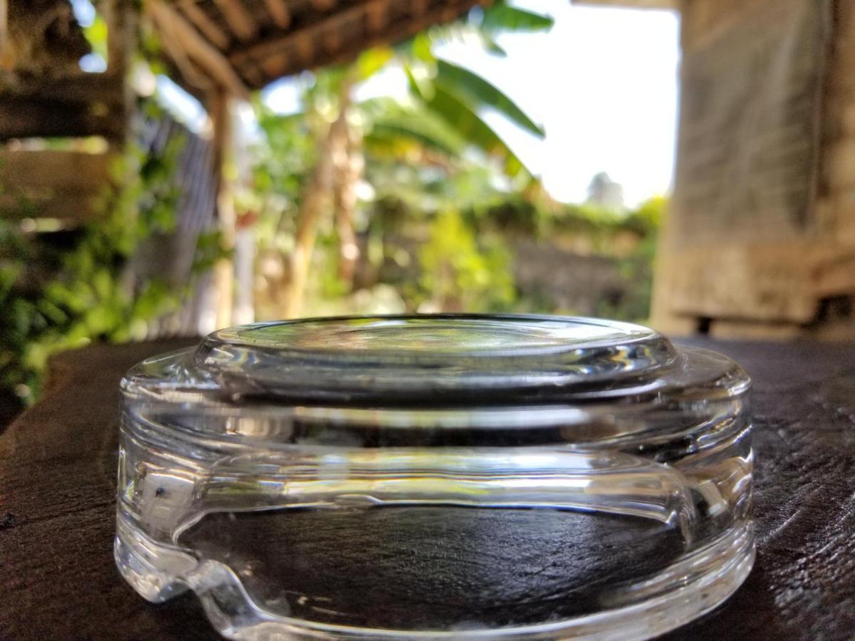 Cabanas Las Palmas Bacalar Ngoại thất bức ảnh