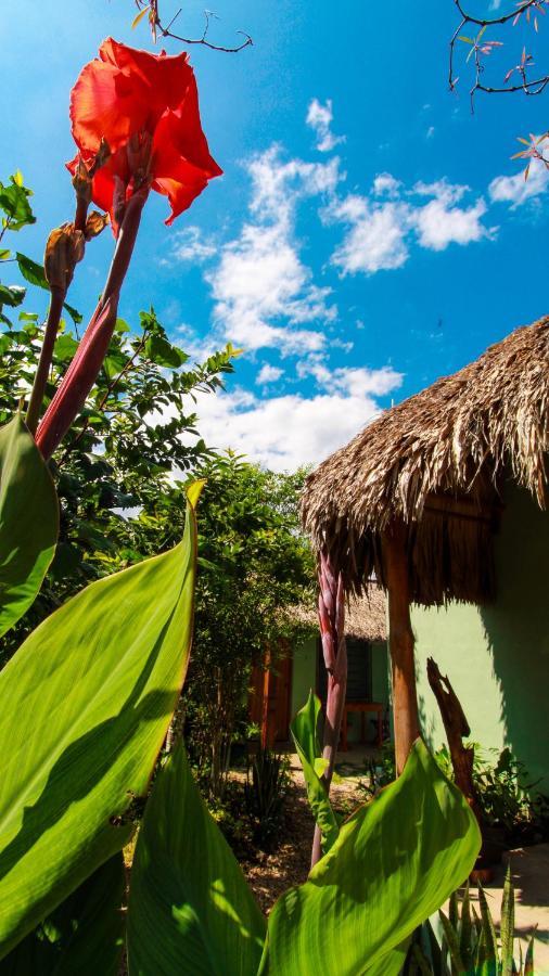 Cabanas Las Palmas Bacalar Ngoại thất bức ảnh